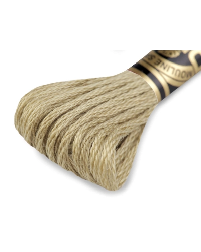Aţă de brodat DMC Mouline, degrade, 100% bumbac mercerizat - 1 buc. | Mimib