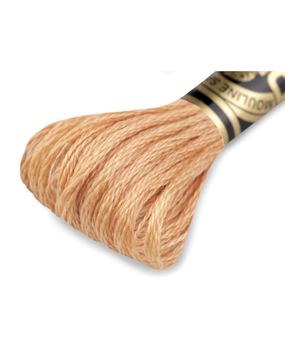 Aţă de brodat DMC Mouline, degrade, 100% bumbac mercerizat - 1 buc. | Mimib