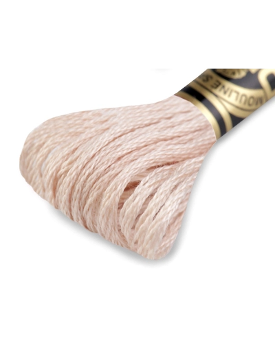 Aţă de brodat DMC Mouline, degrade, 100% bumbac mercerizat - 1 buc. | Mimib