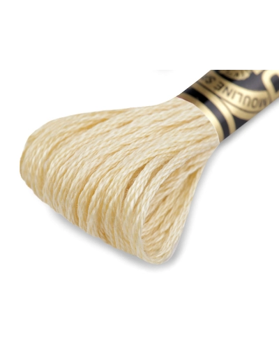 Aţă de brodat DMC Mouline, degrade, 100% bumbac mercerizat - 1 buc. | Mimib
