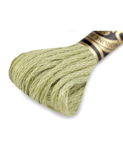 Aţă de brodat DMC Mouline, degrade, 100% bumbac mercerizat - 1 buc. | Mimib