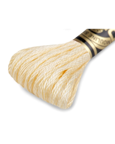 Aţă de brodat DMC Mouline, degrade, 100% bumbac mercerizat - 1 buc. | Mimib