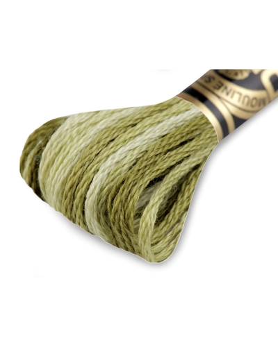 Aţă de brodat DMC Mouline, degrade, 100% bumbac mercerizat - 1 buc. | Mimib