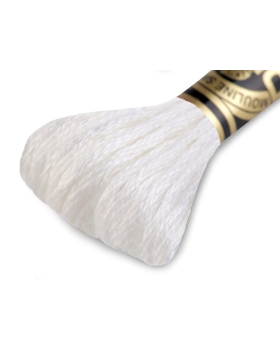 Aţă de brodat DMC Mouline, degrade, 100% bumbac mercerizat - 1 buc. | Mimib