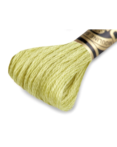Aţă de brodat DMC Mouline, degrade, 100% bumbac mercerizat - 1 buc. | Mimib