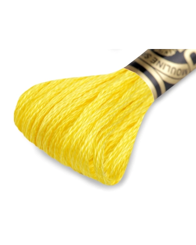 Aţă de brodat DMC Mouline, degrade, 100% bumbac mercerizat - 1 buc. | Mimib
