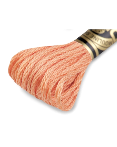 Aţă de brodat DMC Mouline, degrade, 100% bumbac mercerizat - 1 buc. | Mimib