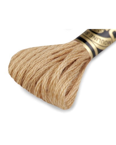 Aţă de brodat DMC Mouline, degrade, 100% bumbac mercerizat - 1 buc. | Mimib