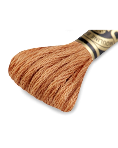 Aţă de brodat DMC Mouline, degrade, 100% bumbac mercerizat - 1 buc. | Mimib