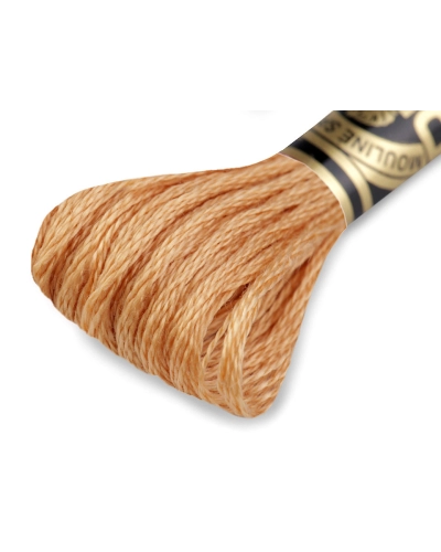 Aţă de brodat DMC Mouline, degrade, 100% bumbac mercerizat - 1 buc. | Mimib