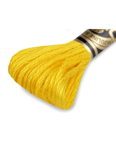 Aţă de brodat DMC Mouline, degrade, 100% bumbac mercerizat - 1 buc. | Mimib