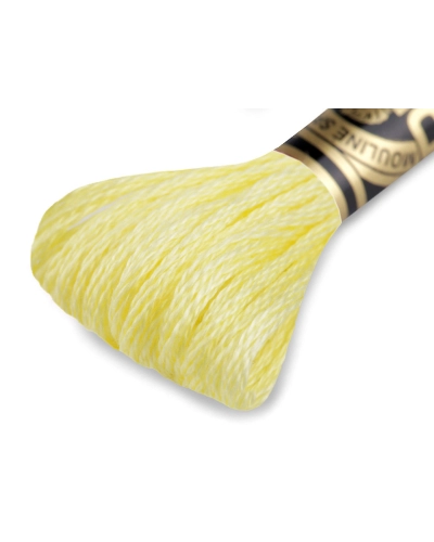 Aţă de brodat DMC Mouline, degrade, 100% bumbac mercerizat - 1 buc. | Mimib