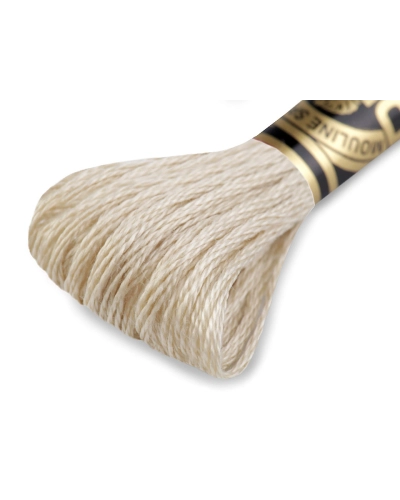 Aţă de brodat DMC Mouline, degrade, 100% bumbac mercerizat - 1 buc. | Mimib