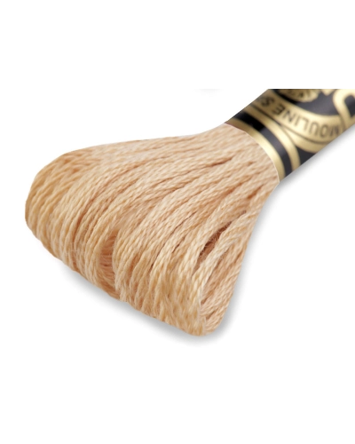 Aţă de brodat DMC Mouline, degrade, 100% bumbac mercerizat - 1 buc. | Mimib
