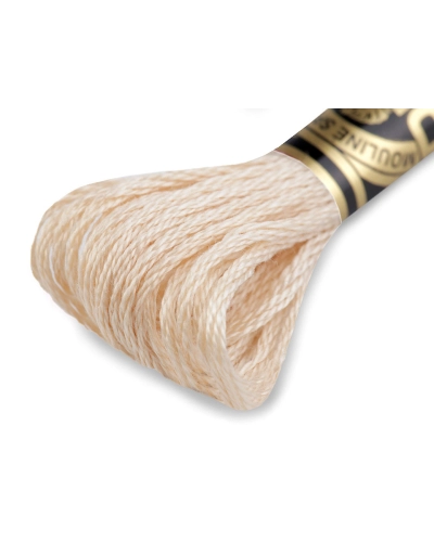 Aţă de brodat DMC Mouline, degrade, 100% bumbac mercerizat - 1 buc. | Mimib