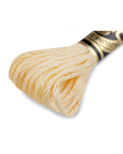 Aţă de brodat DMC Mouline, degrade, 100% bumbac mercerizat - 1 buc. | Mimib