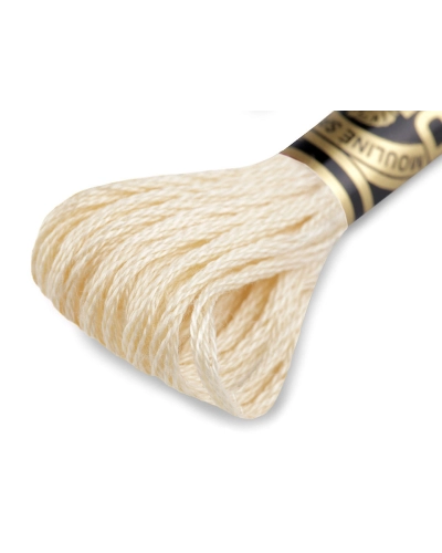 Aţă de brodat DMC Mouline, degrade, 100% bumbac mercerizat - 1 buc. | Mimib