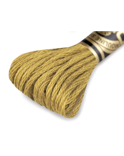 Aţă de brodat DMC Mouline, degrade, 100% bumbac mercerizat - 1 buc. | Mimib