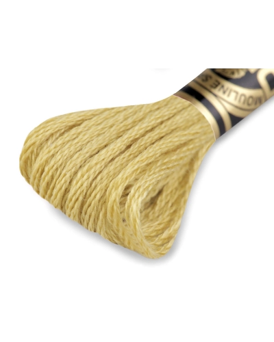 Aţă de brodat DMC Mouline, degrade, 100% bumbac mercerizat - 1 buc. | Mimib