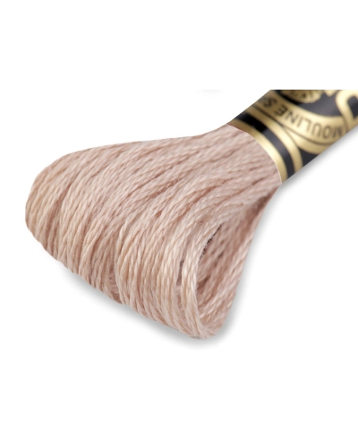Aţă de brodat DMC Mouline, degrade, 100% bumbac mercerizat - 1 buc. | Mimib