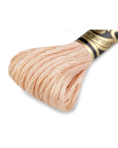 Aţă de brodat DMC Mouline, degrade, 100% bumbac mercerizat - 1 buc. | Mimib