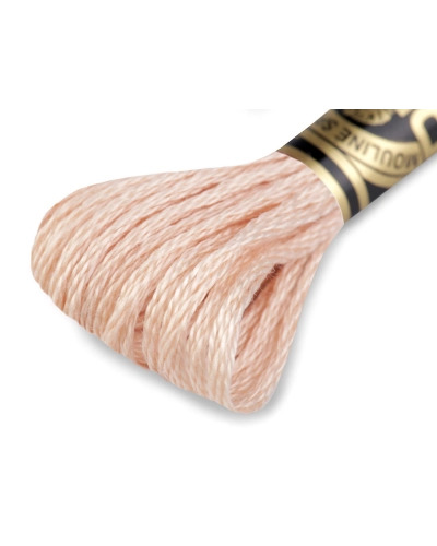 Aţă de brodat DMC Mouline, degrade, 100% bumbac mercerizat - 1 buc. | Mimib