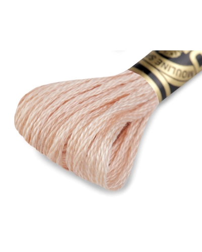 Aţă de brodat DMC Mouline, degrade, 100% bumbac mercerizat - 1 buc. | Mimib