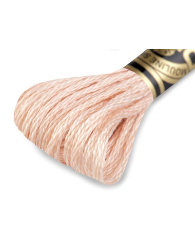 Aţă de brodat DMC Mouline, degrade, 100% bumbac mercerizat - 1 buc. | Mimib