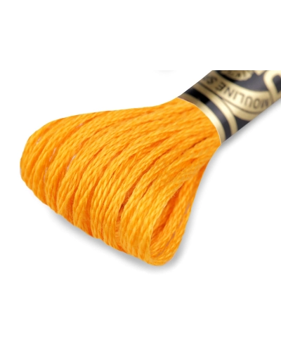 Aţă de brodat DMC Mouline, degrade, 100% bumbac mercerizat - 1 buc. | Mimib