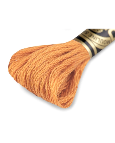 Aţă de brodat DMC Mouline, degrade, 100% bumbac mercerizat - 1 buc. | Mimib