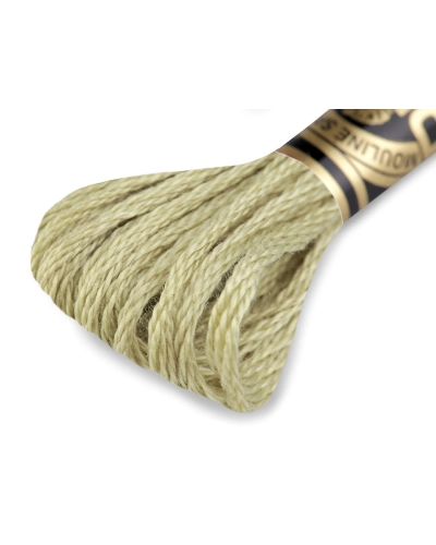 Aţă de brodat DMC Mouline, degrade, 100% bumbac mercerizat - 1 buc. | Mimib