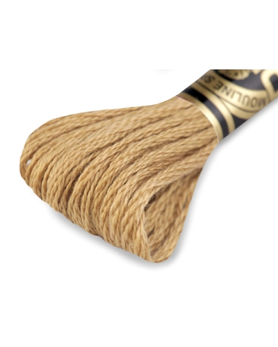 Aţă de brodat DMC Mouline, degrade, 100% bumbac mercerizat - 1 buc. | Mimib