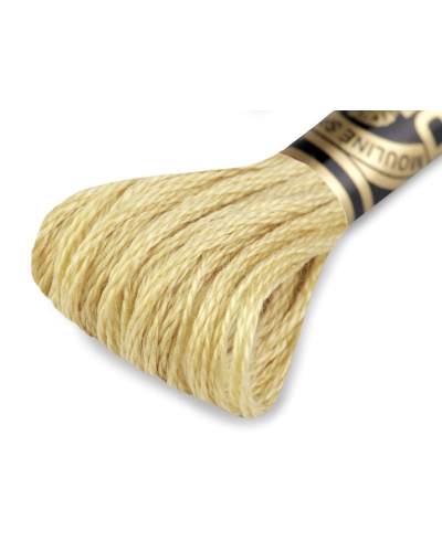 Aţă de brodat DMC Mouline, degrade, 100% bumbac mercerizat - 1 buc. | Mimib