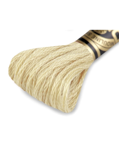 Aţă de brodat DMC Mouline, degrade, 100% bumbac mercerizat - 1 buc. | Mimib