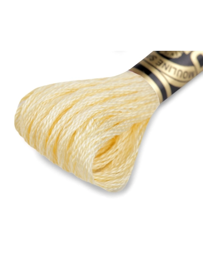 Aţă de brodat DMC Mouline, degrade, 100% bumbac mercerizat - 1 buc. | Mimib