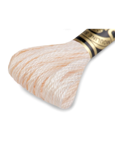 Aţă de brodat DMC Mouline, degrade, 100% bumbac mercerizat - 1 buc. | Mimib
