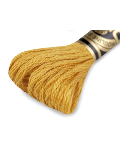 Aţă de brodat DMC Mouline, degrade, 100% bumbac mercerizat - 1 buc. | Mimib