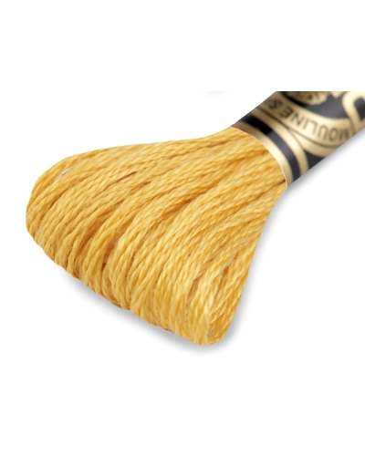 Aţă de brodat DMC Mouline, degrade, 100% bumbac mercerizat - 1 buc. | Mimib
