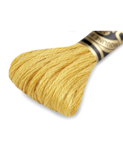 Aţă de brodat DMC Mouline, degrade, 100% bumbac mercerizat - 1 buc. | Mimib