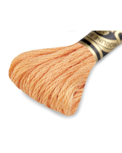Aţă de brodat DMC Mouline, degrade, 100% bumbac mercerizat - 1 buc. | Mimib