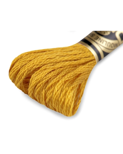 Aţă de brodat DMC Mouline, degrade, 100% bumbac mercerizat - 1 buc. | Mimib