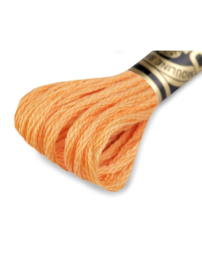 Aţă de brodat DMC Mouline, degrade, 100% bumbac mercerizat - 1 buc. | Mimib