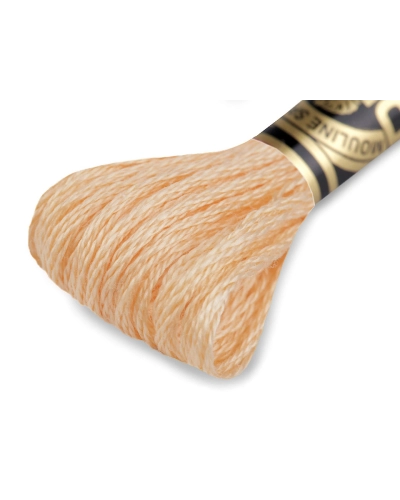 Aţă de brodat DMC Mouline, degrade, 100% bumbac mercerizat - 1 buc. | Mimib