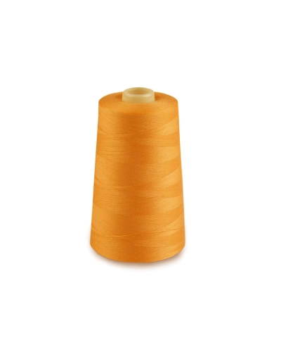 Ață poliester pentru overlock PES 40/2, con 4572 m - 1 buc. | Mimib