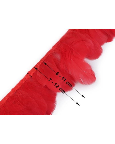 Bandă din pene de gâscă  6-8 cm - 1 m | Mimib