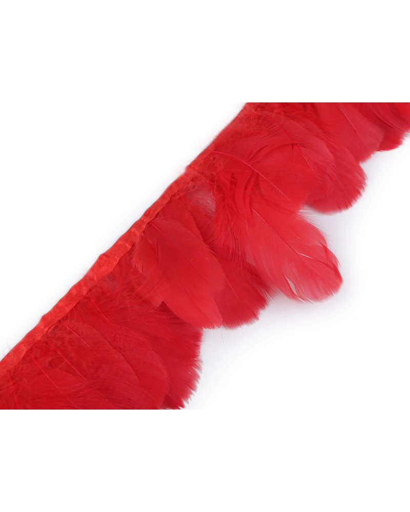 Bandă din pene de gâscă  6-8 cm - 1 m | Mimib