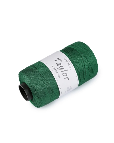 Fire de tricotat nailon Taylor 250 g - 1 buc. | Mimib