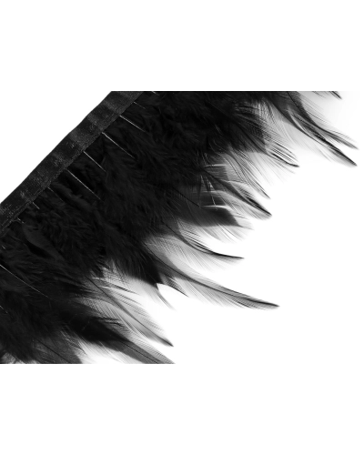 IBanda cu pene de cocos 7-12 cm - 1 m | Mimib
