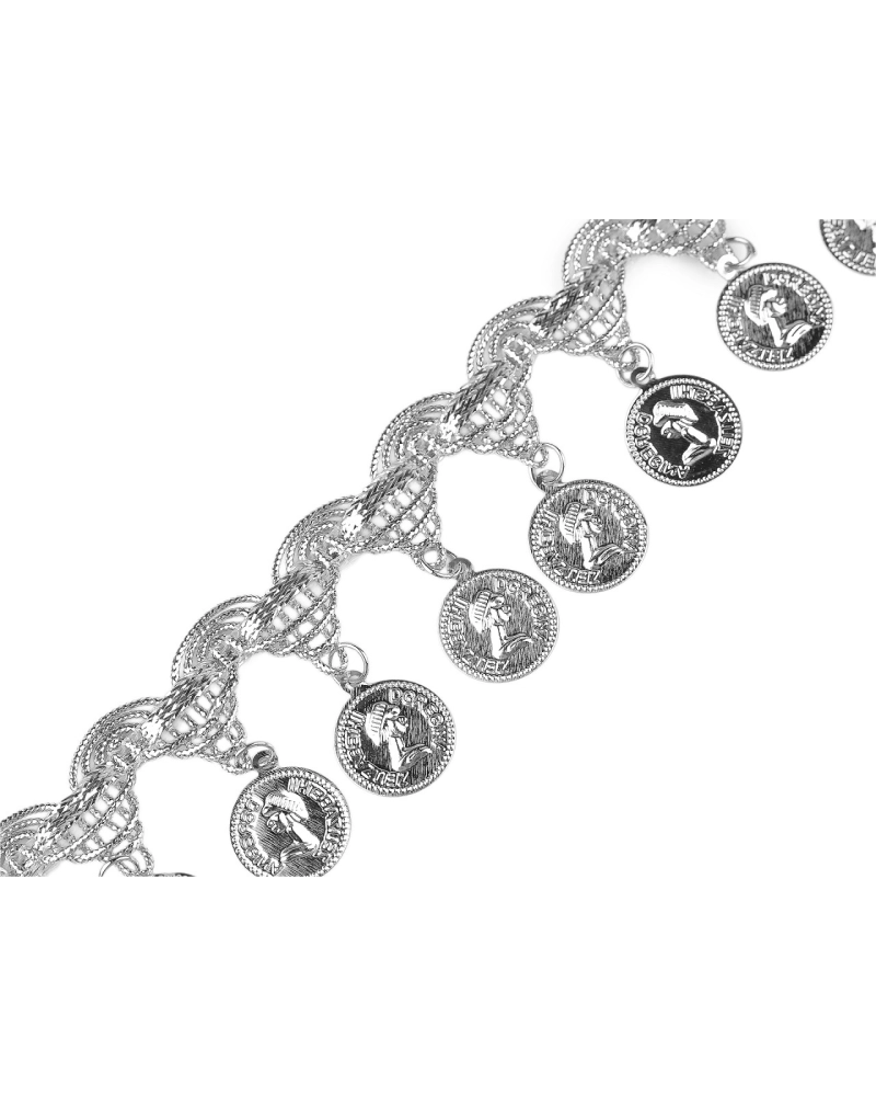 Shakira leónsky prámik s peniazmi šírka 38 mm - 13.5 m | Mimib