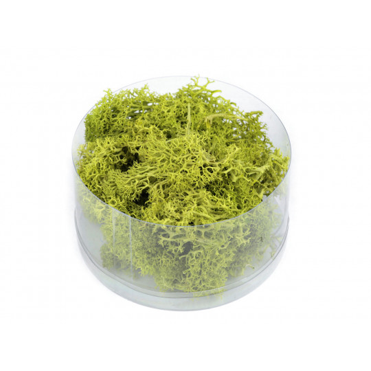 Mușchi prezervat 20 g la cutie | Mimib